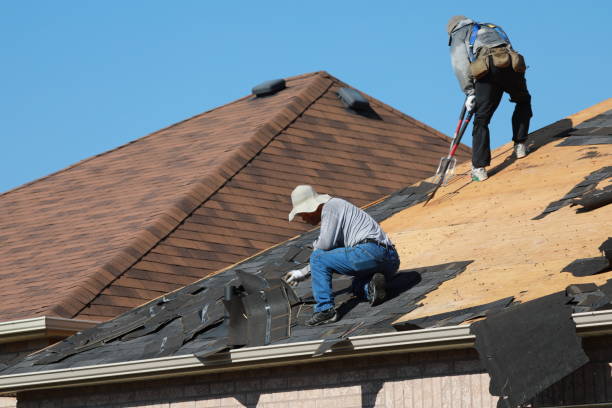 Professional Roofing services in Ridge Manor, FL